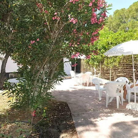 Apart-hotel Niki Ialysos (Rhodes)